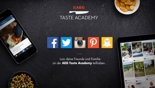 ds taste academy meurer