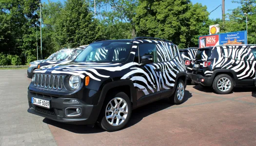 jeep renegade fleet parade